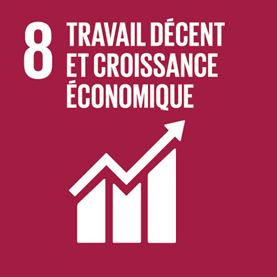 Travail D&eacute;cent et croissance economique