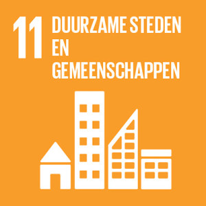 11. Duurzame steden en gemeenschappen