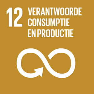12. Verantwoorde consumptie en productie