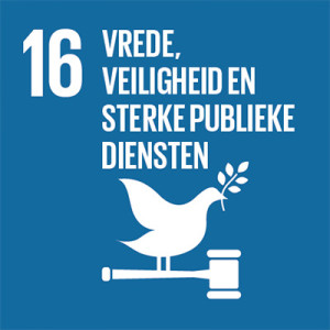 16. Vrede, veiligheid en sterke publieke diensten