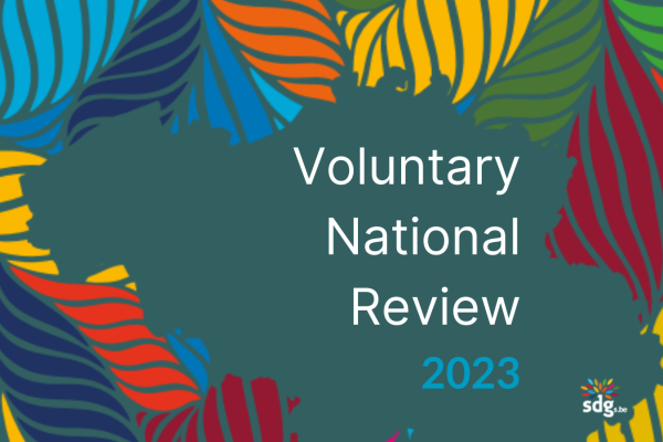 voluntary_national_review_2030.png