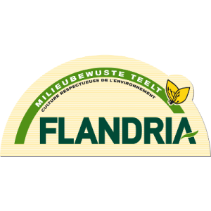 Flandria