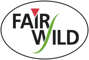 Fair Wild 