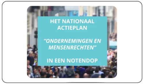 Icoon NAP Business & Human Rights